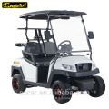 New 2 seater lifted electric golf cart for sale